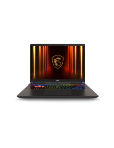 Vector 16 QHD+ U9 275HX 32 1 5070Ti W11H