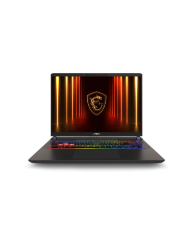 Vector 16 QHD+ U9 275HX 32 1 5070Ti W11H
