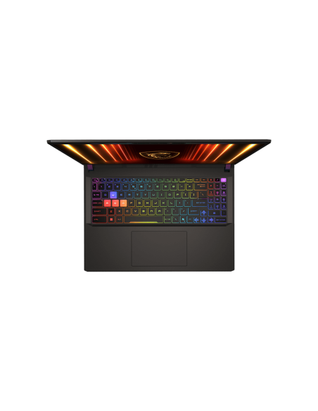 Vector 16 QHD+ U9 275HX 32 1 5070Ti W11H