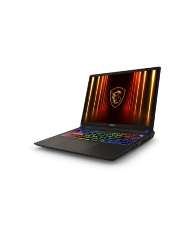 Vector 16 QHD+ U9 275HX 32 1 5070Ti W11H