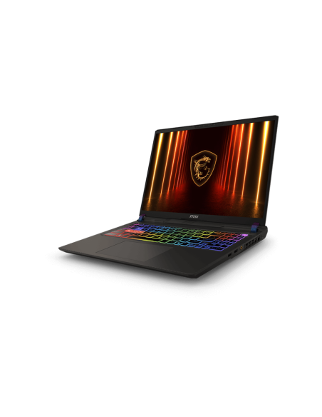 Vector 16 QHD+ U9 275HX 32 1 5070Ti W11H