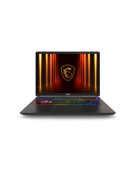 Vector 16 QHD+ U9 275HX 32 1TB 5080 W11H
