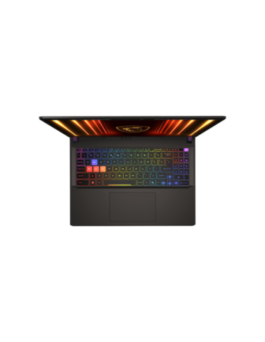 Vector 16 QHD+ U9 275HX 32 1TB 5080 W11H