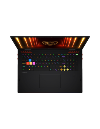 Raider A18 R9 9955HX3D 64 2TB 5080 W11H