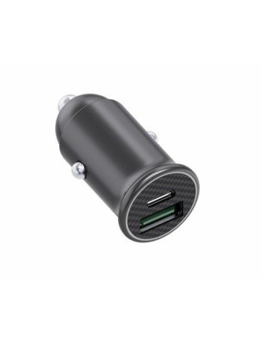 INCARCATOR AUTO SERIOUX 60W 12V