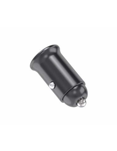 INCARCATOR AUTO SERIOUX 60W 12V