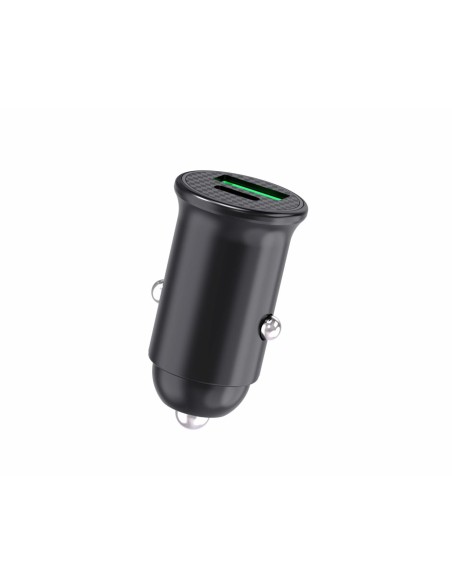 INCARCATOR AUTO SERIOUX 60W 12V