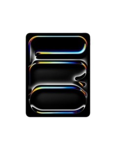 iPAD PRO 13 M4 WiFi 1TB SP BK