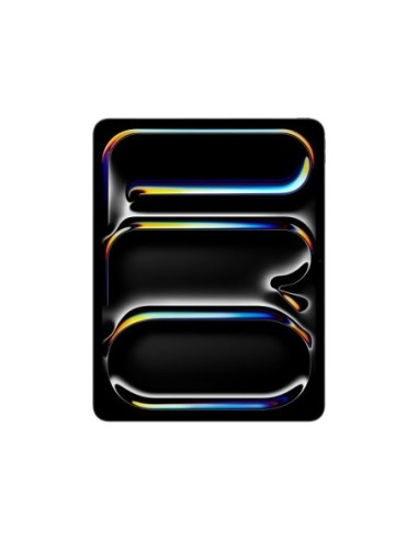 iPAD PRO 13 M4 WiFi 1TB SP BK