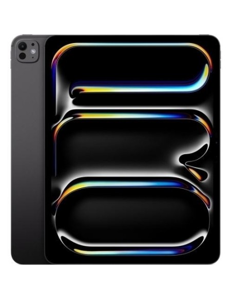 iPAD PRO 13 M5 WiFi 2TB SG SP BK