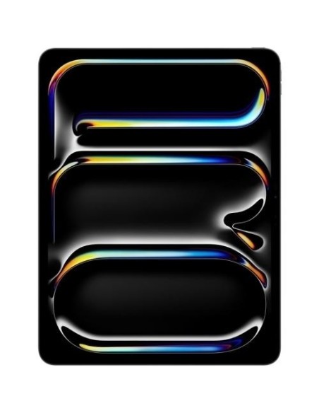 iPAD PRO 13 M5 WiFi 2TB SG SP BK