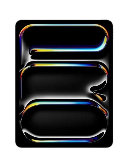 iPAD PRO 13 M5 WiFi&Cell 2TB SG SILVER