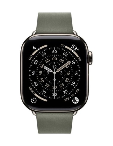 AW BAND 42MM MODERN BUCKLE SAGE GRAY L