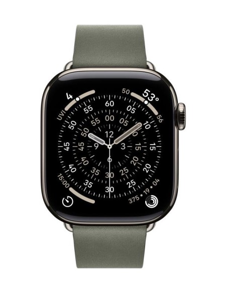 AW BAND 42MM MODERN BUCKLE SAGE GRAY L