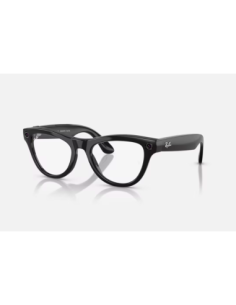 RayBan Meta Skyler M SB TransAmethyst G1