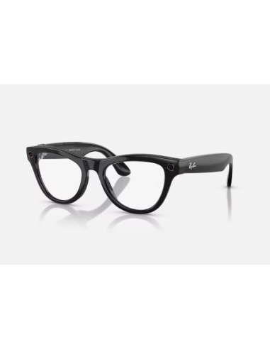 RayBan Meta Skyler M SB TransAmethyst G1