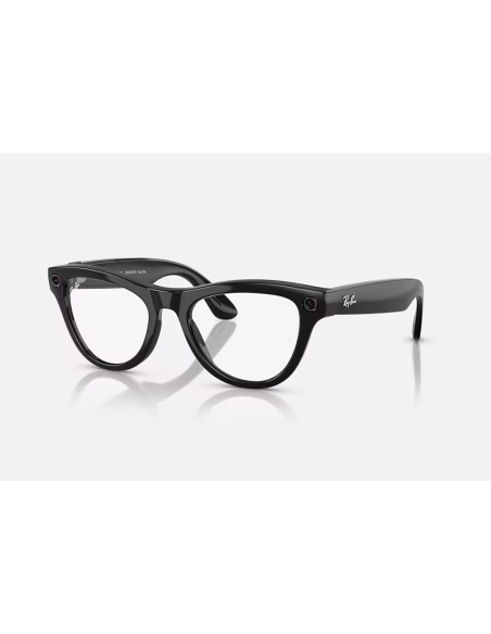 RayBan Meta Skyler M SB TransAmethyst G1