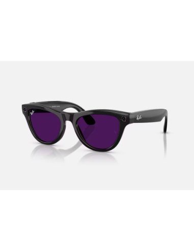 RayBan Meta Skyler M SB TransAmethyst G1