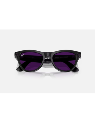 RayBan Meta Skyler M SB TransAmethyst G1
