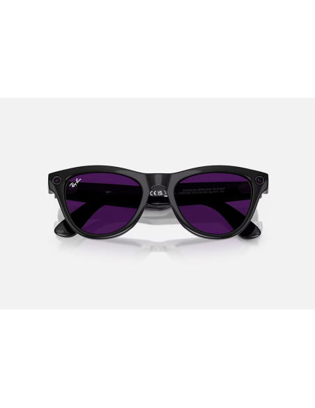 RayBan Meta Skyler M SB TransAmethyst G1