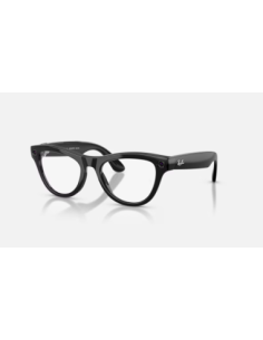 RayBan Meta Skyler M SB/Gr Green Tran G2