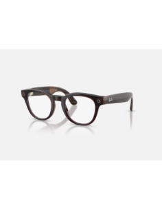RayBanMeta ScriberOptics STUmber/Demo G2