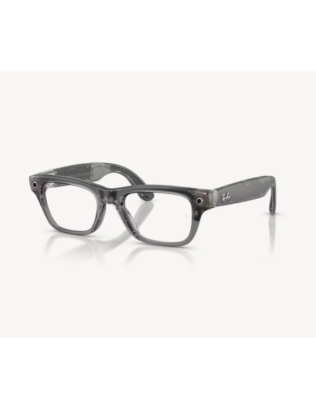 RayBanMeta BlayzerOptics TrIceGr/Demo G2