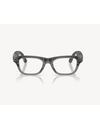 RayBanMeta BlayzerOptics TrIceGr/Demo G2