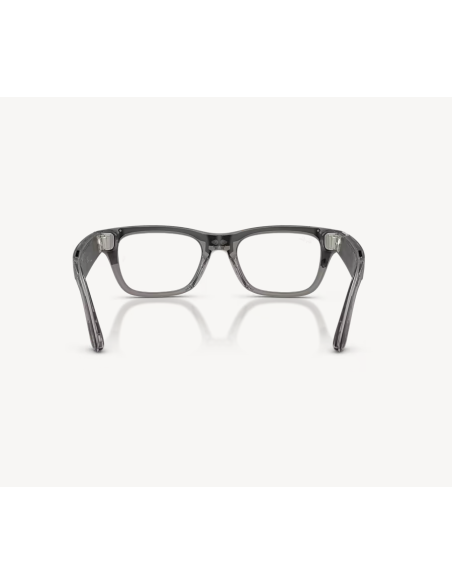 RayBanMeta BlayzerOptics TrIceGr/Demo G2