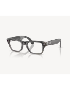 RayBanMeta BlayzerOptics TrIceGr/Demo G2