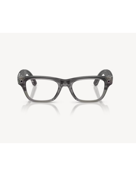 RayBanMeta BlayzerOptics TrIceGr/Demo G2