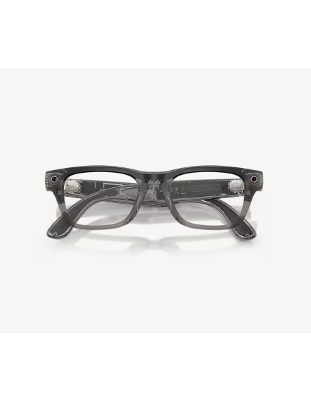 RayBanMeta BlayzerOptics TrIceGr/Demo G2
