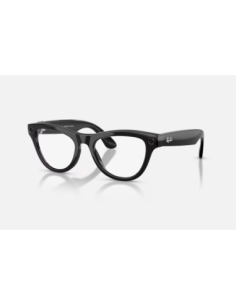 RayBan Meta Skyler M SB/Amethyst Tr G2