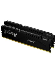 Kingston Technology FURY Beast memory