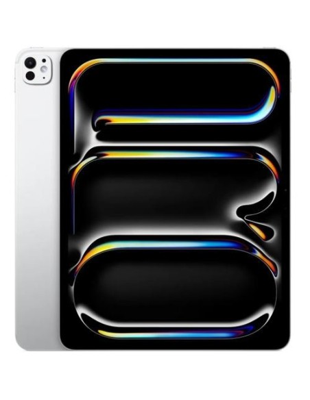 iPAD PRO 13 M5 WiFi&Cell 256GB SG SILVER