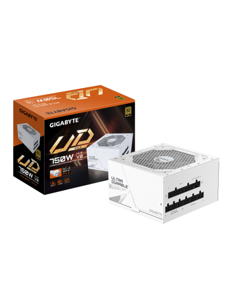 GIGABYTE UD750GM PG5 V2 ICE power supply