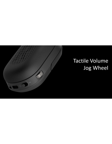 HP Poly Focus 625 Stereo BT Headset