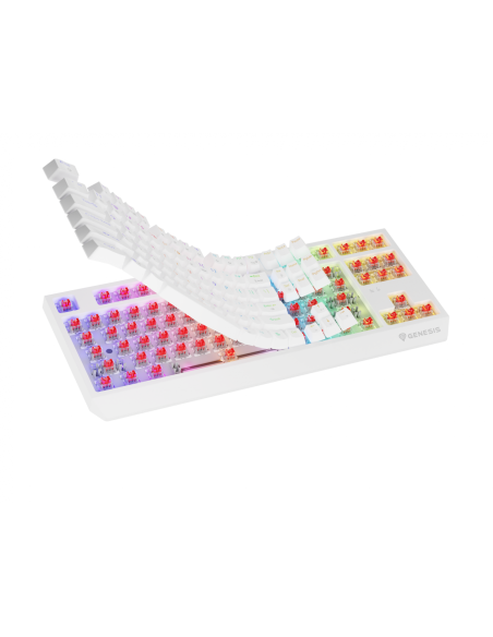 Tastatura WS Genesis Thor 230 TKL R alb