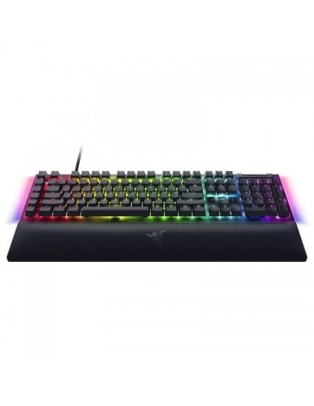 Tastatura Razer Blackwidow V4 X Green Sw
