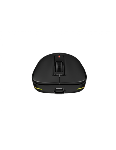 Mouse Genesis WS Zircon 660 Pro 26000 ng
