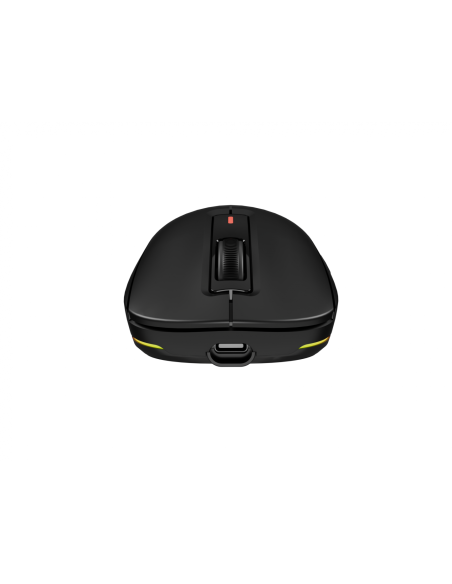 Mouse Genesis WS Zircon 660 Pro 26000 ng