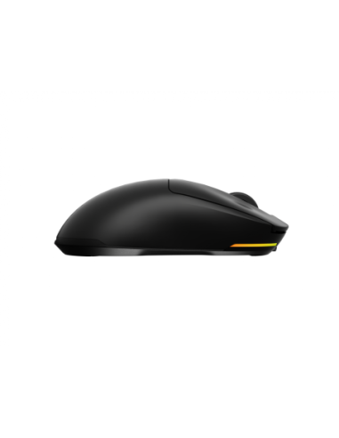 Mouse Genesis WS Zircon 660 Pro 26000 ng