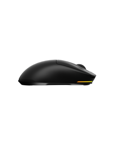 Mouse Genesis WS Zircon 660 Pro 26000 ng