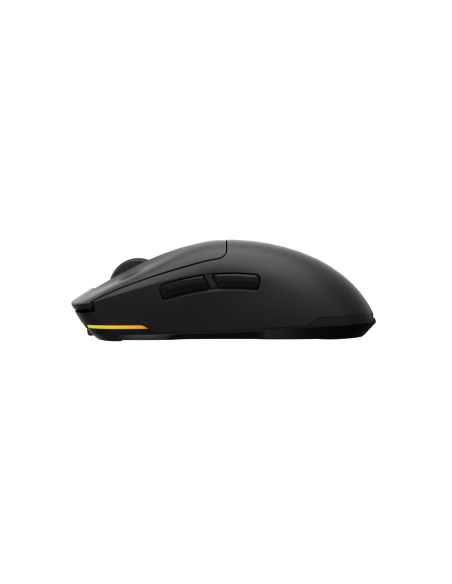 Mouse Genesis WS Zircon 660 Pro 26000 ng