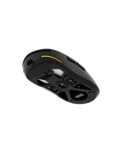 Mouse Genesis WS Zircon 660 Pro 26000 ng