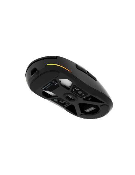 Mouse Genesis WS Zircon 660 Pro 26000 ng