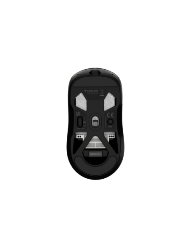 Mouse Genesis WS Zircon 660 Pro 26000 ng