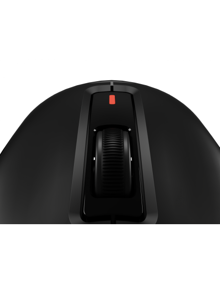Mouse Genesis WS Zircon 660 Pro 26000 ng