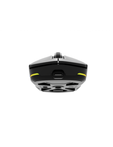 Mouse Genesis WS Zircon 660 Pro 26000 ng