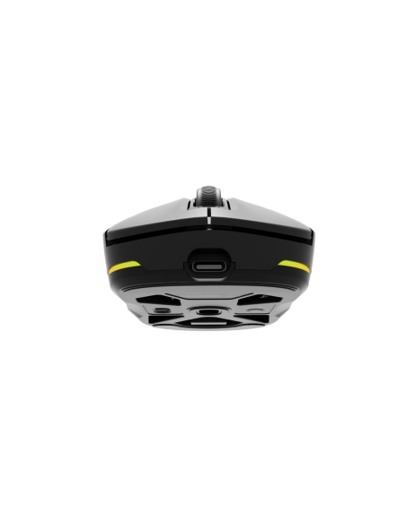 Mouse Genesis WS Zircon 660 Pro 26000 ng